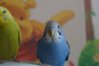 DSC05245.JPG