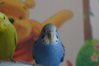 DSC05247.JPG