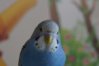 DSC05253.JPG