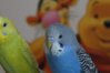 DSC05254.JPG