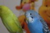 DSC05255.JPG