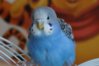 DSC05261.JPG