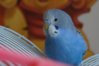 DSC05265.JPG
