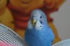 DSC05266.JPG