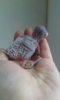 IMG-20160201-WA0021.jpeg