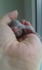 IMG-20160201-WA0019.jpeg