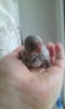 IMG-20160201-WA0014.jpeg