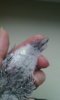 IMG-20160201-WA0016.jpeg