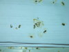 DSCN7048.JPG