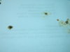 DSCN7049.JPG