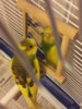20160201_231542.jpg