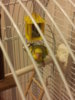 20160202_195041.jpg