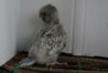 DSC01037.JPG