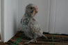 DSC01041.JPG