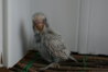 DSC01042.JPG