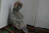 DSC01050.JPG