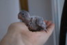 DSC01054.JPG