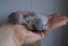 DSC01058.JPG