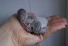 DSC01059.JPG