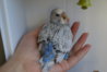 DSC01779.JPG