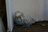 DSC01787.JPG