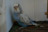 DSC01792.JPG