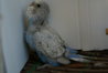 DSC01796.JPG
