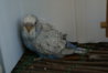 DSC01800.JPG