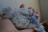 DSC01805.JPG