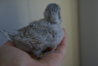DSC01808.JPG