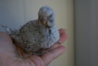 DSC01815.JPG
