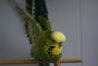 DSC01523.JPG