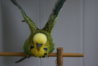 DSC01537.JPG