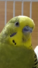 Screenshot_2016-02-09-00-30-01.png