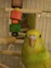 image.jpeg