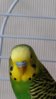 20160210_123150.jpg