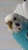 20160210_123134.jpg