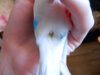 DSCN7079.JPG
