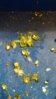 20160210_221140.jpg