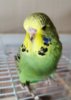 IMG_20191007_092038.jpg