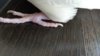 IMG_20191014_134630.jpg