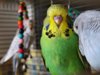 IMG_20191016_204138.jpg