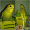 PicsArt_10-19-09.01.17.jpg