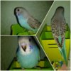 PicsArt_10-19-08.58.33.jpg