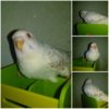 PicsArt_10-19-08.57.17.jpg