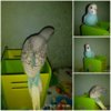 PicsArt_10-19-08.59.28.jpg