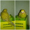 PicsArt_10-19-09.00.44.jpg