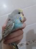 20191023_125130.jpg