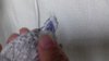 20191023_152023.jpg