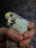 20191025_123655.jpg